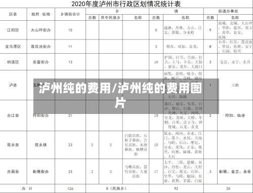 泸州纯的费用/泸州纯的费用图片