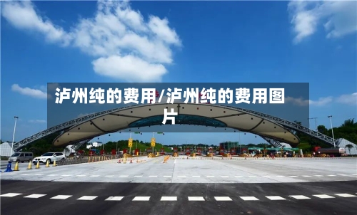 泸州纯的费用/泸州纯的费用图片-第2张图片