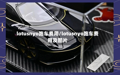 lotusnyo跑车费用/lotusnyo跑车费用及图片-第3张图片