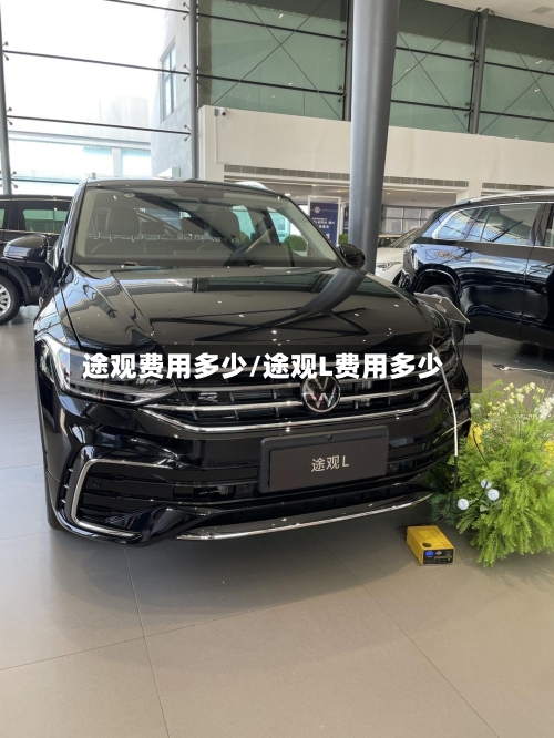 途观费用多少/途观L费用多少