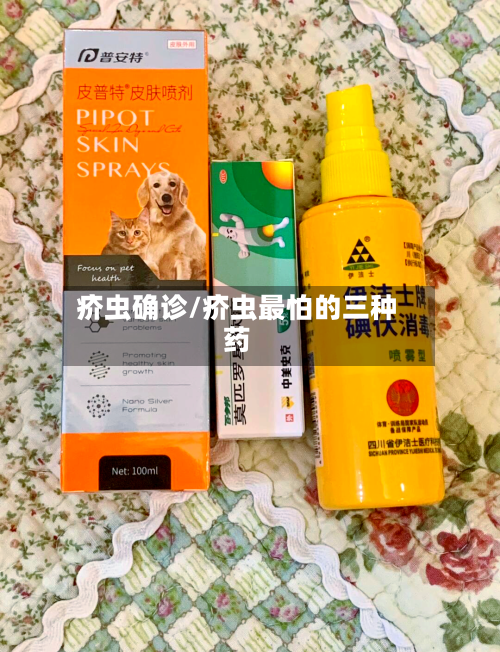 疥虫确诊/疥虫最怕的三种药-第2张图片