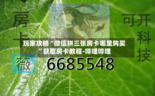 玩家攻略“微信拼三张房卡哪里购买”获取房卡教程-哔哩哔哩-第2张图片