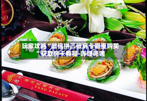玩家攻略“微信拼三张房卡哪里购买”获取房卡教程-哔哩哔哩-第3张图片