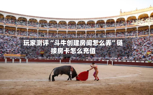 玩家测评“斗牛创建房间怎么弄”链接房卡怎么充值-第3张图片