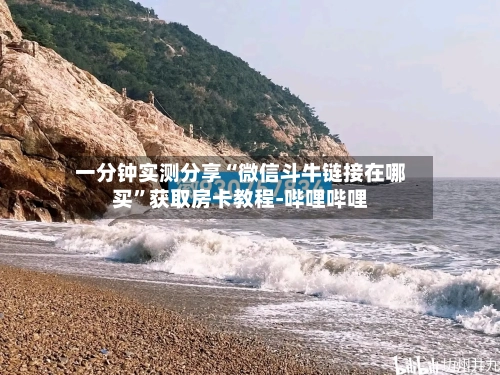 一分钟实测分享“微信斗牛链接在哪买”获取房卡教程-哔哩哔哩-第2张图片