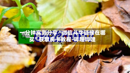 一分钟实测分享“微信斗牛链接在哪买”获取房卡教程-哔哩哔哩