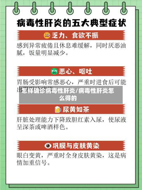 怎样确诊病毒性肝炎/病毒性肝炎怎么得的-第3张图片