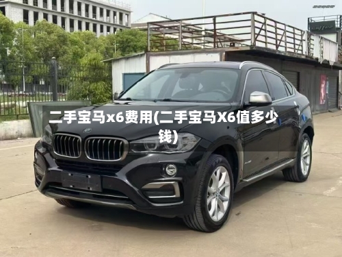 二手宝马x6费用(二手宝马X6值多少钱)-第3张图片