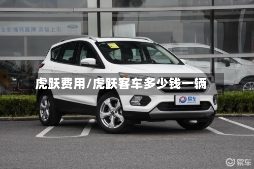 虎跃费用/虎跃客车多少钱一辆-第3张图片