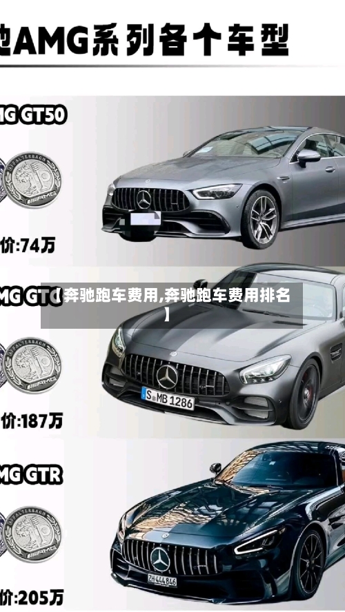 【奔驰跑车费用,奔驰跑车费用排名】