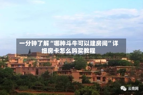一分钟了解“哪种斗牛可以建房间”详细房卡怎么购买教程-第3张图片