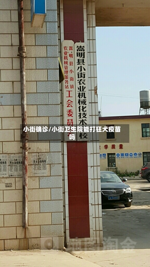 小街确诊/小街卫生院能打狂犬疫苗吗