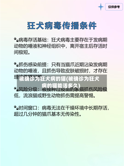 被确诊为狂犬病的猫(被确诊为狂犬病的猫能活多久)