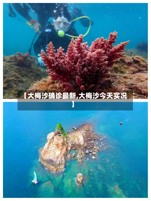 【大梅沙确诊最新,大梅沙今天实况】