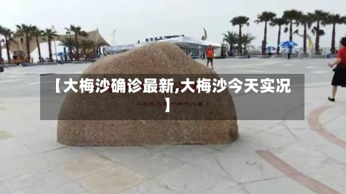 【大梅沙确诊最新,大梅沙今天实况】-第2张图片