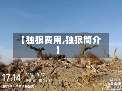 【独狼费用,独狼简介】-第2张图片