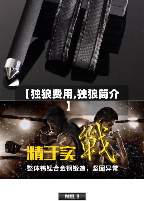 【独狼费用,独狼简介】-第3张图片