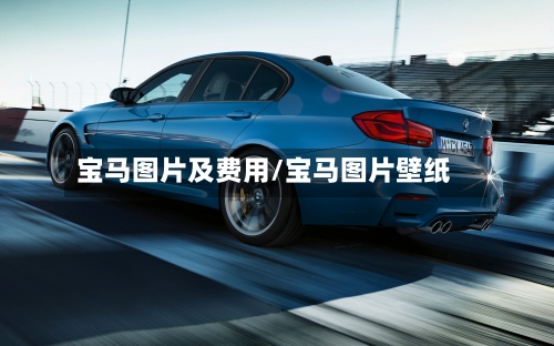 宝马图片及费用/宝马图片壁纸-第2张图片