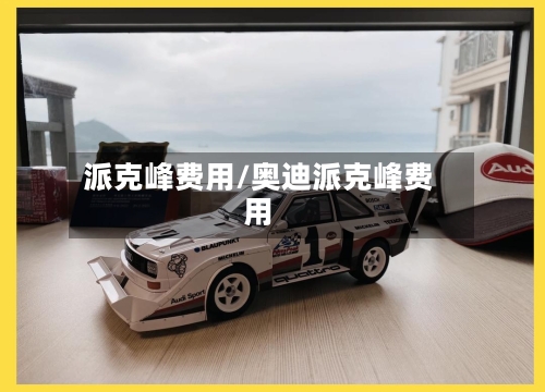 派克峰费用/奥迪派克峰费用