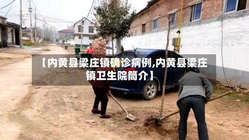【内黄县梁庄镇确诊病例,内黄县梁庄镇卫生院筒介】-第2张图片