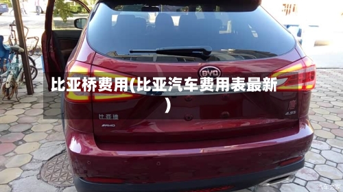 比亚桥费用(比亚汽车费用表最新)-第2张图片