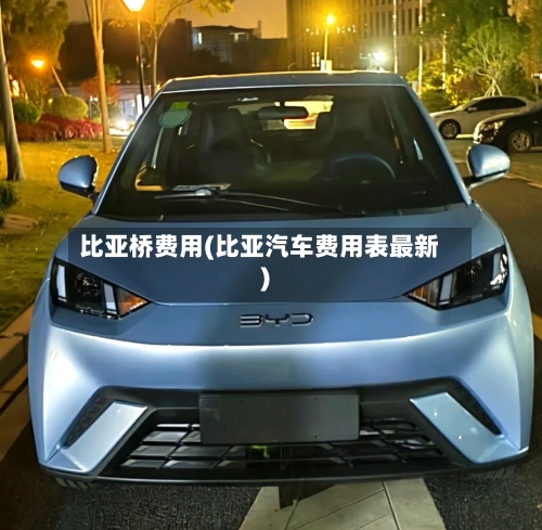 比亚桥费用(比亚汽车费用表最新)