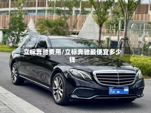 立标奔驰费用/立标奔驰最便宜多少钱-第2张图片