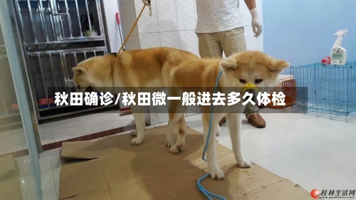 秋田确诊/秋田微一般进去多久体检