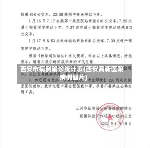 西安市病例确诊统计表(西安高新医院病例图片)-第2张图片