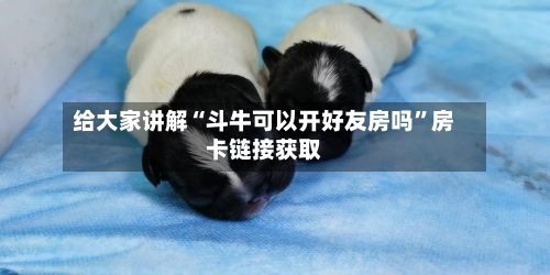 给大家讲解“斗牛可以开好友房吗”房卡链接获取