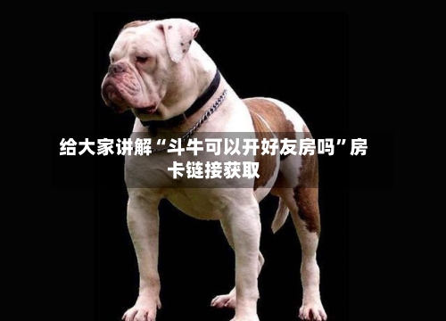 给大家讲解“斗牛可以开好友房吗”房卡链接获取-第2张图片