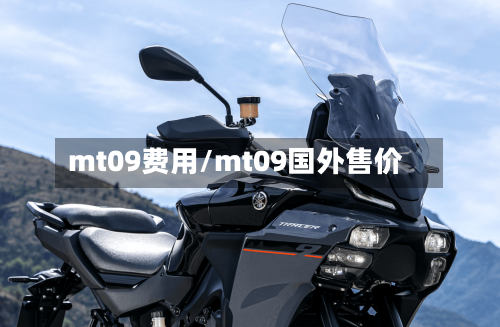 mt09费用/mt09国外售价