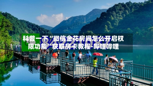 科普一下“微信金花房间怎么开启权限功能”获取房卡教程-哔哩哔哩