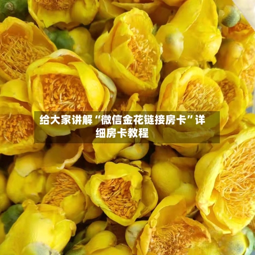 给大家讲解“微信金花链接房卡”详细房卡教程-第3张图片