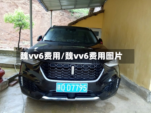 魏vv6费用/魏vv6费用图片-第2张图片