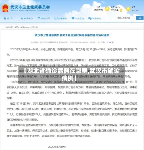 【湖北省确诊病例在哪里,武汉市确诊病例】-第2张图片