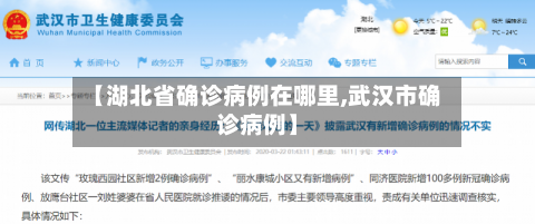 【湖北省确诊病例在哪里,武汉市确诊病例】