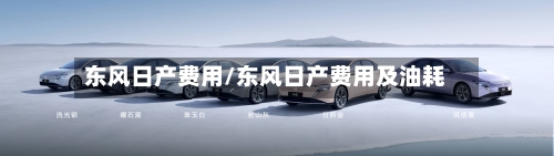 东风日产费用/东风日产费用及油耗