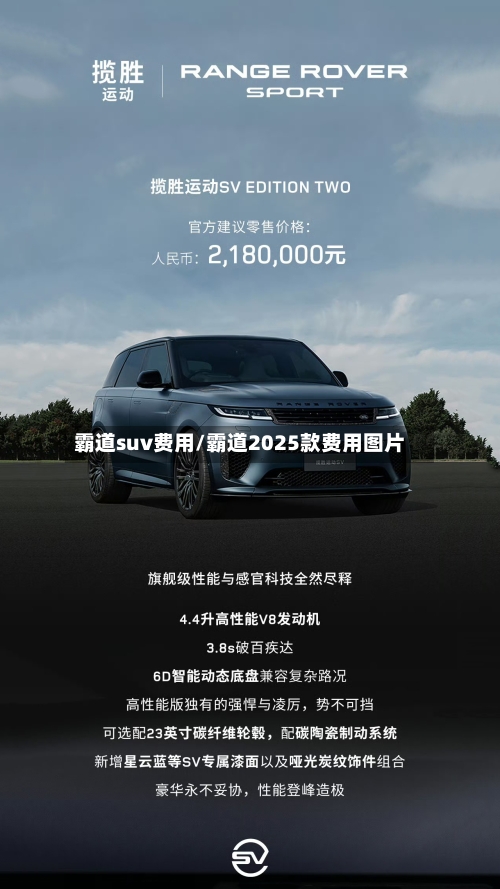 霸道suv费用/霸道2025款费用图片