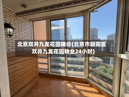 北京双井九龙花园确诊(北京市朝阳区双井九龙花园物业24小时)-第2张图片
