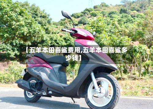 【五羊本田喜鲨费用,五羊本田喜鲨多少钱】