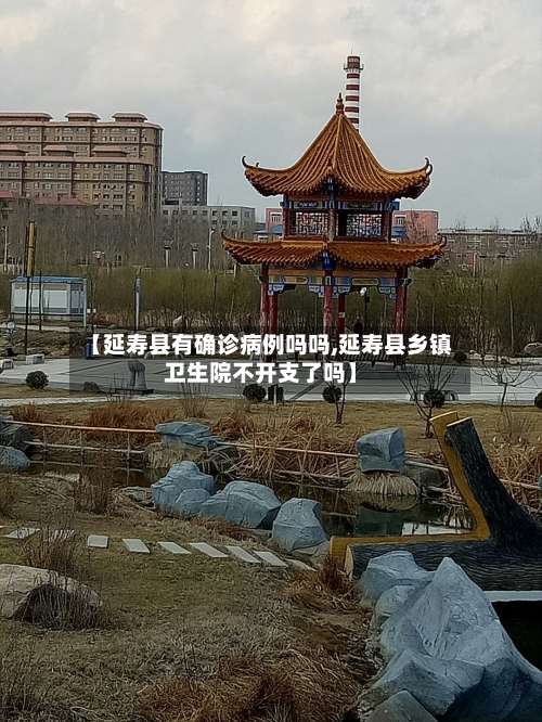 【延寿县有确诊病例吗吗,延寿县乡镇卫生院不开支了吗】
