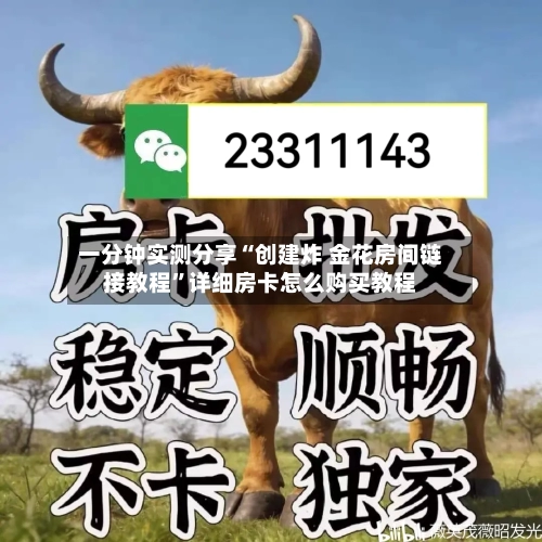 一分钟实测分享“创建炸 金花房间链接教程	”详细房卡怎么购买教程-第3张图片