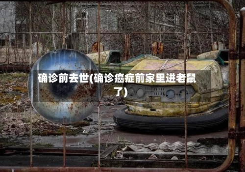 确诊前去世(确诊癌症前家里进老鼠了)-第3张图片