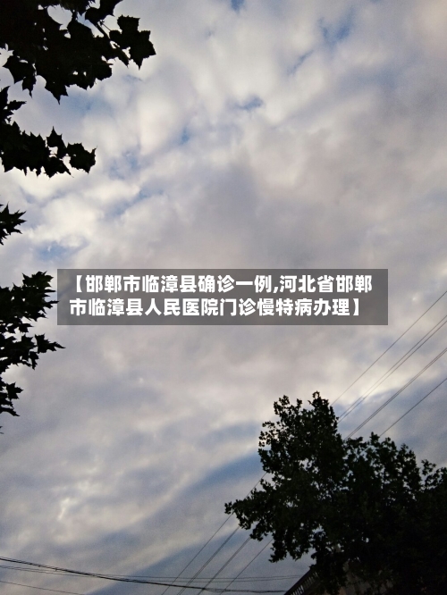 【邯郸市临漳县确诊一例,河北省邯郸市临漳县人民医院门诊慢特病办理】-第3张图片