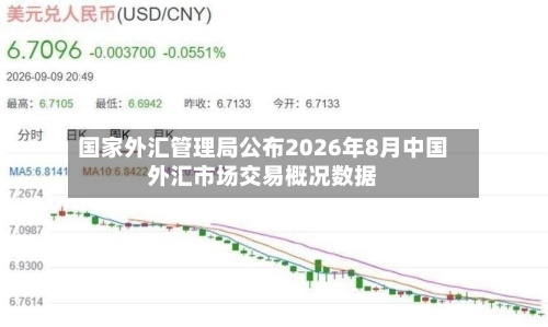 国家外汇管理局公布2026年8月中国外汇市场交易概况数据