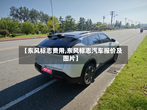 【东风标志费用,东风标志汽车报价及图片】-第2张图片