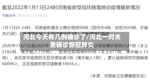 河北今天有几例确诊了/河北一对夫妻确诊新冠肺炎-第1张图片