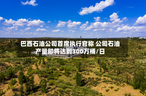巴西石油公司首席执行官称 公司石油产量即将达到300万桶/日