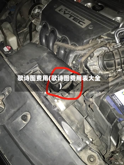 歌诗图费用(歌诗图费用表大全)